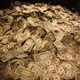 Illustration for article titled Kickback-Accused Apple Exec Stuffed $150,000 in Shoeboxes at Home